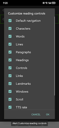 Ehtiyotkorlik ekran o'quvchi