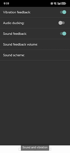 Ehtiyotkorlik ekran o'quvchi
